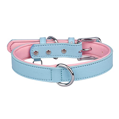 Roadoor Hunde-Halskette, tragbar, zum Verkleiden, für Hunde, Katzen, Halsband, Dekoration für Fotos, Blau, XL Roadoor Hunde-Halskette, tragbar, zum Verkleiden, für Hunde, Katzen, Halsband, Dekoration für Fotos, Blau, XL von Roadoor