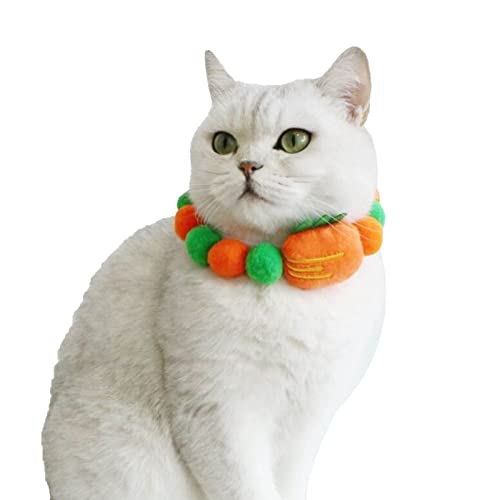 Roadoor Katzenhalsband, feine Verarbeitung, attraktiv, bezaubernd, für Haustiere, Katzen, Welpen, Plüschkugeln, Halskette für Kätzchen, Orange, XS von Roadoor