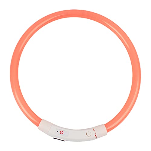 YSoutstripdu LED-Hundehalsband für Nacht, sicher, wiederaufladbar, Leuchtend, wiederaufladbar, über USB wiederaufladbar, klein, mittel, für Welpen, Katzen, Halsband, Orange, 50 cm YSoutstripdu LED-Hundehalsband für Nacht, sicher, wiederaufladbar, Leuchtend, wiederaufladbar, über USB wiederaufladbar, klein, mittel, für Welpen, Katzen, Halsband, Orange, 50 cm von Roadoor
