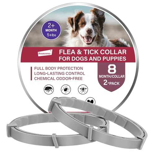2er-Pack Zeckenhalsband für Hunde – Natürliches Ätherisches Öl, Wasserdicht & Verstellbar für Welpen und Hunde ab 7 Wochen, 16 Monate Schutz – Sicher mit Pflanzlichen Inhaltsstoffen 2er-Pack Zeckenhalsband für Hunde – Natürliches Ätherisches Öl, Wasserdicht & Verstellbar für Welpen und Hunde ab 7 Wochen, 16 Monate Schutz – Sicher mit Pflanzlichen Inhaltsstoffen von RoamRover