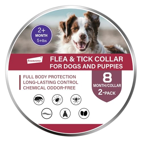 2er-Pack Zeckenhalsband für Hunde – Natürliches Ätherisches Öl, Wasserdicht & Verstellbar für Welpen und Hunde ab 8 Wochen, 16 Monate Schutz – Sicher mit Pflanzlichen Inhaltsstoffen 2er-Pack Zeckenhalsband für Hunde – Natürliches Ätherisches Öl, Wasserdicht & Verstellbar für Welpen und Hunde ab 8 Wochen, 16 Monate Schutz – Sicher mit Pflanzlichen Inhaltsstoffen von RoamRover