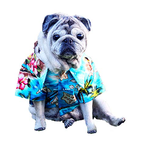 RJC Dog Tropical Island Escape Aloha Hawaii-Shirt Türkis 2X von Robert J. Clancey