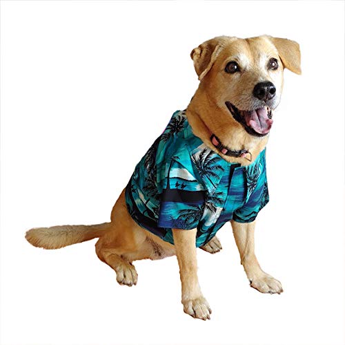 RJC Dog Waimea Sunset Aloha Hawaii-Hemd, Blaugrün, 2X von Robert J. Clancey