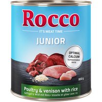 Sparpaket Rocco Junior 24 x 800 g - Geflügel mit Wild & Reis von Rocco