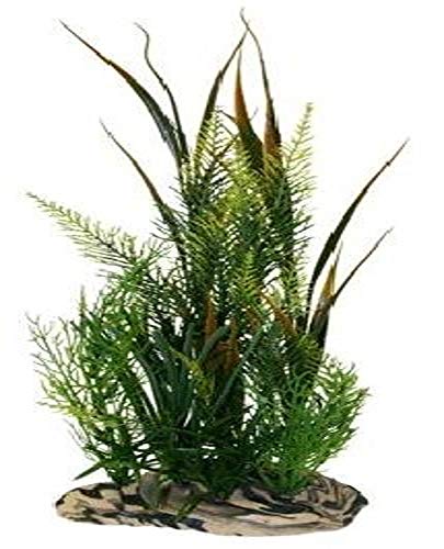 Rock Garden Natürliche grüne Pflanze mit dekorativer Harzbasis, 38,1 cm, klein von Rock Garden