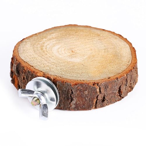 RockVOQRN Kauspielzeug für Papageien, Vogelkäfig, Holzständer, Plattform für Sittiche, Nymphensittiche, Zubehör von RockVOQRN