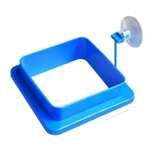 Automatische Feeder (Tiefes Quadrat) von Rocky Green
