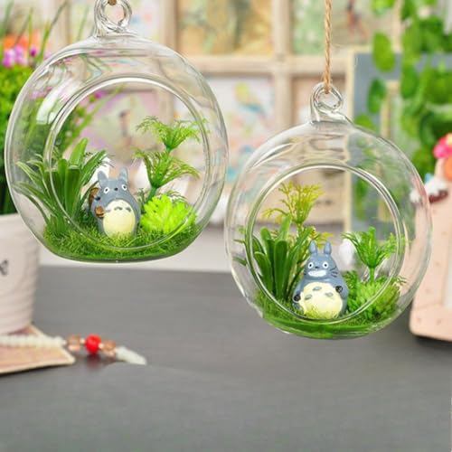 Glasbehälter für Sukkulenten, Moose, Luftpflanzen, Mini-Landschaft, dekorative hängende Pflanzgefäße, Hochzeits- und Heimdekoration (Borosilikatglas-Kugeln) (6 cm) von Rocky Green