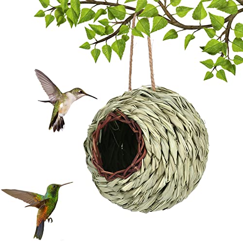 Handgewebte natürliche hängende Kugel, Gartendekoration, atmungsaktive Lebensraumtasche, umweltfreundliche Kokosfaser und Moos, 13 cm, dekorative Nistkugel für den Außenbereich, 6 cm Eingang Handgewebte natürliche hängende Kugel, Gartendekoration, atmungsaktive Lebensraumtasche, umweltfreundliche Kokosfaser und Moos, 13 cm, dekorative Nistkugel für den Außenbereich, 6 cm Eingang von Rocky Green