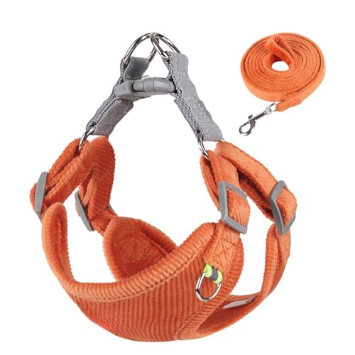 Reflektierendes Westengeschirr für kleine Hunde, verstellbarer, weich gepolsterter Brustgurt mit atmungsaktivem Netz, ausbruchsicheres Design für Welpen, Teddy, Katzen (S, Orange) von Rocky Green
