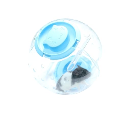 Rocky Green Hamster-Trainingsball – langlebiges Kleintier-Laufrad mit Luftlöchern, Hamsterspielzeug für Rennmäuse, Mäuse und kleine Haustiere (18 cm, blau) von Rocky Green