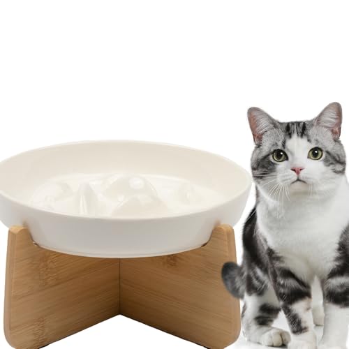 Rocky Green Keramik Slow Feeder Katzennapf - Erhöhter Anti-Choke Erhöhter Futternapf mit rutschfestem Boden, ergonomische Nackenunterstützung für Katzen & Kätzchen, leicht zu reinigende Rocky Green Keramik Slow Feeder Katzennapf - Erhöhter Anti-Choke Erhöhter Futternapf mit rutschfestem Boden, ergonomische Nackenunterstützung für Katzen & Kätzchen, leicht zu reinigende von Rocky Green