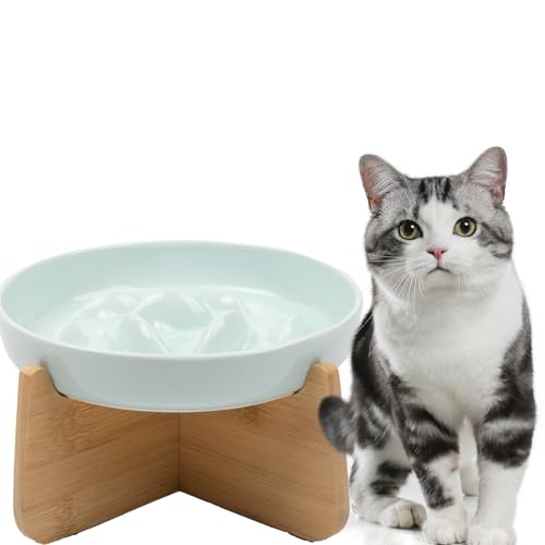 Rocky Green Keramik Slow Feeder Katzennapf - Erhöhter Anti-Choke Erhöhter Futternapf mit rutschfestem Boden, ergonomische Nackenunterstützung für Katzen & Kätzchen, leicht zu reinigende Rocky Green Keramik Slow Feeder Katzennapf - Erhöhter Anti-Choke Erhöhter Futternapf mit rutschfestem Boden, ergonomische Nackenunterstützung für Katzen & Kätzchen, leicht zu reinigende von Rocky Green