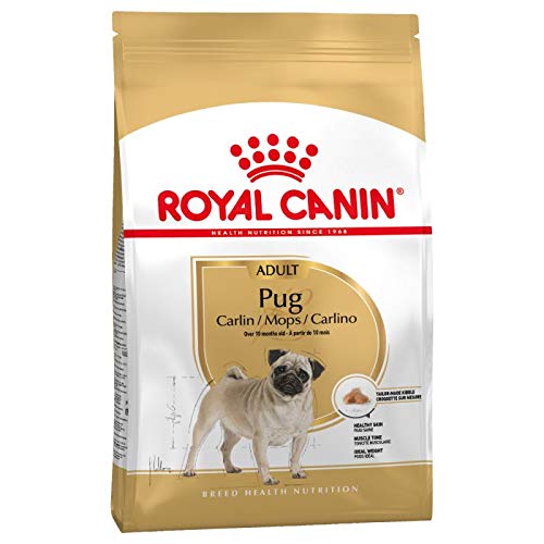 Royal Canin Mops Adult Trockenfutter für Hunde, 3 kg, 3 Stück von Røyal Canin