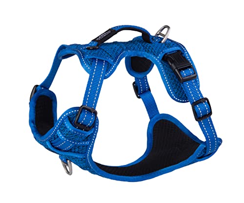 ROGZ SJX11.B Explore Geschirr, M, blau ROGZ SJX11.B Explore Geschirr, M, blau von Rogz