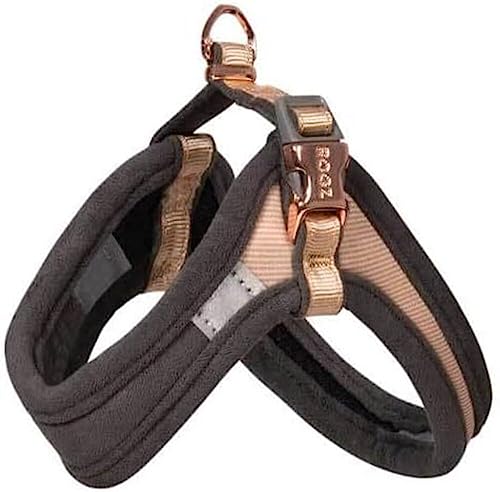 ROGZ Urban Harness Hundegeschirr, Größe XS, 26–30 cm, goldfarben ROGZ Urban Harness Hundegeschirr, Größe XS, 26–30 cm, goldfarben von Rogz