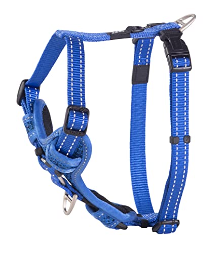 Rogz Control Harness Reflektierendes Geschirr, Größe M, Blau von Rogz