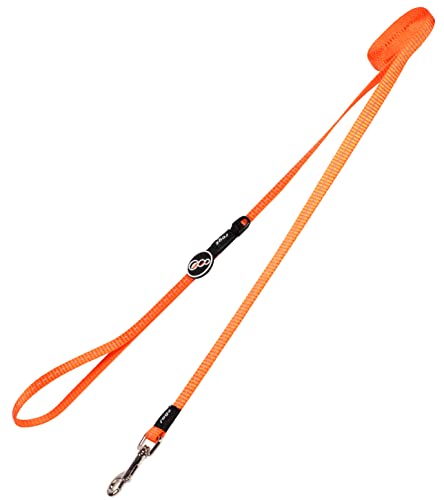 Rogz Kruuse Nitelife Nylon Lead - Orange Reflective 11mm X 1.8m Rogz Kruuse Nitelife Nylon Lead - Orange Reflective 11mm X 1.8m von Rogz