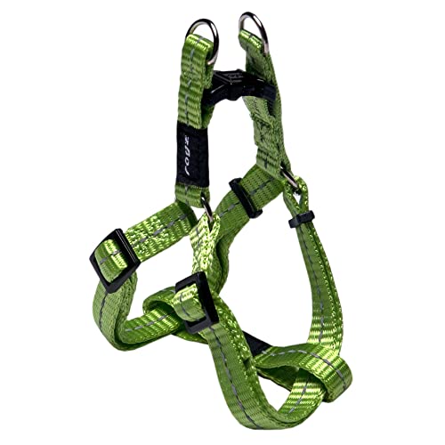 Rogz Reflektierendes Hundegeschirr, verstellbar, für kleine Hunde, passendes Halsband und Leine erhältlich, Nitelife Hundegeschirr für kleine Hunde, 3/8" Small, grün Rogz Reflektierendes Hundegeschirr, verstellbar, für kleine Hunde, passendes Halsband und Leine erhältlich, Nitelife Hundegeschirr für kleine Hunde, 3/8" Small, grün von Rogz