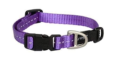 Rogz Nitelife Hundehalsband, reflektierend, klein, 1,9 cm, Violett von Rogz