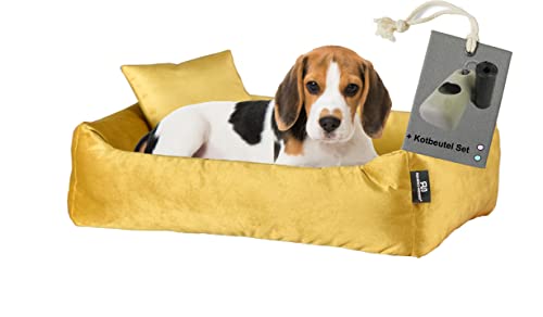 Rohrschneider Hundebett Kuschelsofa Hund Weich + Hundekotbeutelset (M, Senf) von Rohrschneider