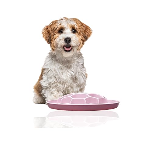 Rohrschneider Antischlingnapf Sporty Hunde | Antischlingnapf Sporty Katze | Futternapf Sporty Katze | Futternapf Sporty Hund | Fressnapf Sporty Hund | Fressnapf Sporty Katze (Rosa) von Rohrschneider