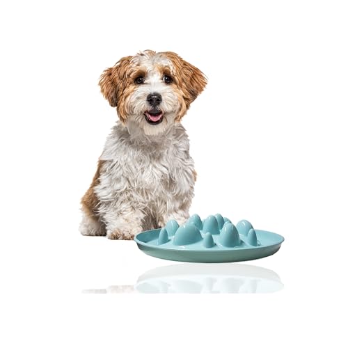 Rohrschneider Antischlingnapf Hunde | Antischlingnapf Katze | Futternapf Katze | Futternapf Hund | Fressnapf Hund | Fressnapf Katze (Blau) von Rohrschneider