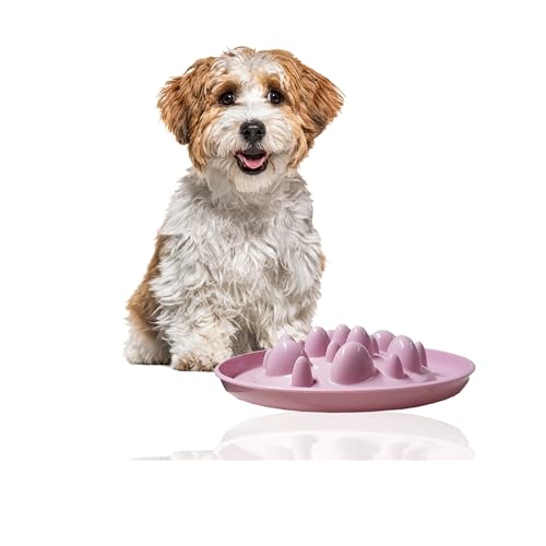 Rohrschneider Antischlingnapf Hunde | Antischlingnapf Katze | Futternapf Katze | Futternapf Hund | Fressnapf Hund | Fressnapf Katze (Rosa) von Rohrschneider