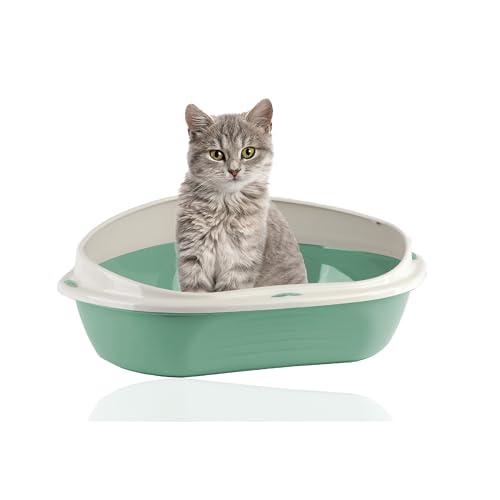 Rohrschneider Eckiges Katzenklo | Katzentoilette für große Katzen | Katzenklo mit hohem Rand | platzsparende Ecktoilette Katze | Katzenklo in modernen Design | Katzentoilette groß (Grün) von Rohrschneider