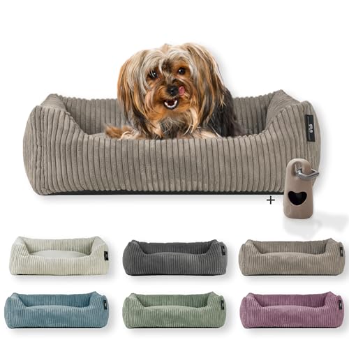 Rohrschneider Hundebett waschbar für kleine und mittelgroße Hunde mit Hundekissen Cord (ca. 55 x 42 cm) inkl. Gassibeutel (Taupe 55 cm, Cordstoff breit) von Rohrschneider
