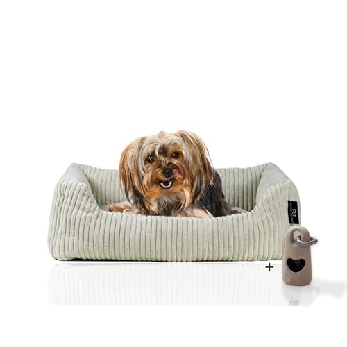Rohrschneider® Hundebett waschbar für kleine und mittelgroße Hunde mit Hundekissen Cord (ca. 55x42 cm) inkl. Gassibeutel (Beige 55 cm, Cordstoff breit) von Rohrschneider