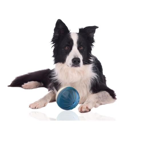 Rohrschneider Hundespielzeug | Futterball für Hunde | Leckerli Ball für Hunde | Hundezubehör von Rohrschneider