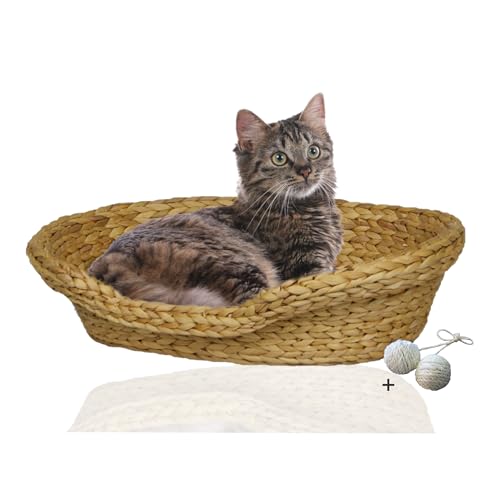 Rohrschneider® Komfortables Katzenkörbchen mit Katzenkissen| Katzennest Korb Wasserhyazinthe | Katzenkörbchen geflochten zum Schlafen | Umweltfreundliches Katzenbett mit Kissen | 2 Größen (1) von Rohrschneider