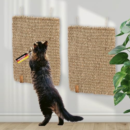 Rohrschneider Kratzmatte Katze handgeflochten aus Naturmaterial Seegras | Kratzbrett zum Schutz von Sofa, Teppich und Anderen Möbeln | Katzen Zubehör für Wand und Fußboden | 40 x 30 x 1 cm | 2er Set von Rohrschneider