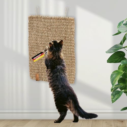 Rohrschneider Kratzmatte Katze handgeflochten aus Naturmaterial Seegras | Kratzbrett zum Schutz von Sofa, Teppich und Anderen Möbeln | Katzen Zubehör für Wand und Fußboden | 40 x 30 x 1 cm | einzeln von Rohrschneider