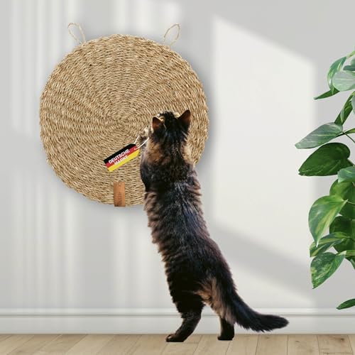 Rohrschneider Kratzmatte rund Katze handgeflochten aus Naturmaterial Seegras | Kratzbrett zum Schutz von Sofa, Teppich und Anderen Möbeln | Katzen Zubehör für Wand und Fußboden | 37 cm | einzeln von Rohrschneider