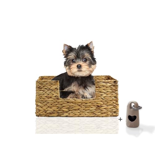 Rohrschneider® Tierbett Domingo | Hundebett kleine Hunde | Katzenbett | waschbar bei 30° | Naturmaterial Wasserhyazinthe Gr. 1 (B 44 x T 30 x H 20 cm) von Rohrschneider