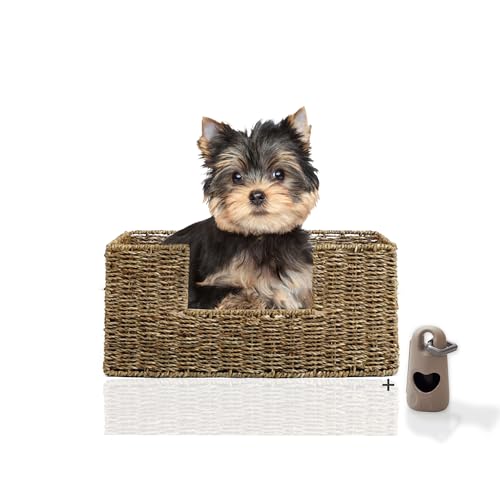 Rohrschneider® Tierbett Micado | Hundebett kleine Hunde | Katzenbett | waschbar bei 30° | Naturmaterial Seegras Gr. 1 (B 44 x T 30 x H 20 cm) von Rohrschneider