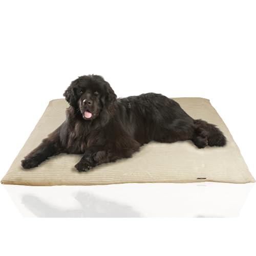 Rohrschneider Weiches Hundebett mit waschbarem Bezug | Gemütliches Hundekissen aus Cord | Premium Hunde Bettdecke | Hundebett waschbar | Kuscheliges Hunde Kissen | XXL für große Hunde | für 2 Hunde von Rohrschneider