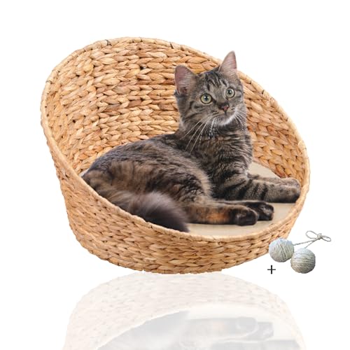 Rohrschneider® ovales Katzenkörbchen aus geflochtener Wasserhyazinthe | Katzenbett mit herausnehmbarem Kissen | Katzenkissen waschbar | Katzenschlafplatz mit hohem Rand | Kuschelhöhle für Katzen von Rohrschneider