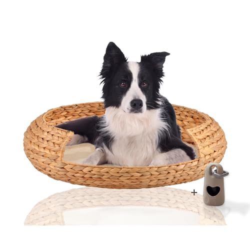 Rohrschneider® runder Hundekorb aus geflochtener Wasserhyazinthe| herausnehmbares, waschbares Kissen| gemütliches Hundesofa für kleine,mittelgroße u. große Hunde| Gr. XXL (L 83 x B 83 x H 20 cm) von Rohrschneider