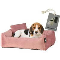 Rohrschneider ® Hundebett inkl. Gratis-Beigabe, Kuschelsofa altrosa M von Rohrschneider