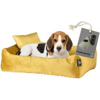 Rohrschneider ® Hundebett inkl. Gratis-Beigabe, Kuschelsofa gelb M von Rohrschneider