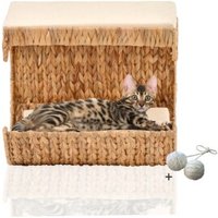 Rohrschneider ® Katzen Liegemulde Cäsar für Wandmontage, Kletterwand-Element mit Gratis-Spielballset von Rohrschneider