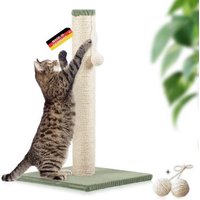 Rohrschneider ® Kratzbaum L, mit Katzenspielzeug, Bodenplatte mit Cordbezug hellgrün 36 cm, 64 cm, 36 cm von Rohrschneider