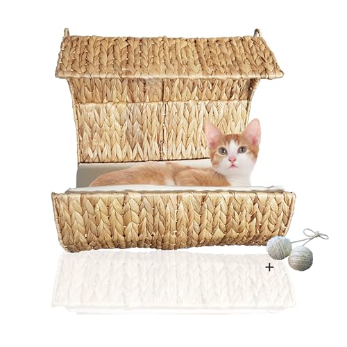 Rohrschneider Heizungsliege Katzen | Katzenkorb | Katzenhängematte Heizung | Fensterliege für Katzen | Katzenkorb zum Schlafen Rohrschneider Heizungsliege Katzen | Katzenkorb | Katzenhängematte Heizung | Fensterliege für Katzen | Katzenkorb zum Schlafen von Rohrschneider