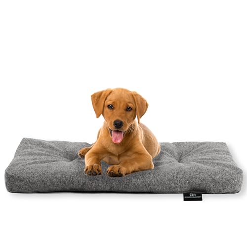 Rohrschneider Hundebett Made in EU | Hundematte mit Anti-Rutsch | strapazierfähiges Hundekissen kleine, mittelgroße & große Hunde | Katzenbett | inkl. Futternapf | Gr. 2 (grau, 50 x 80 x 7 cm) von Rohrschneider