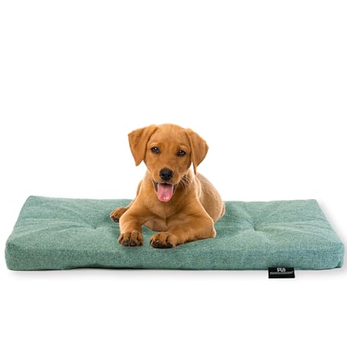 Rohrschneider Hundebett Made in EU | Hundematte mit Anti-Rutsch | strapazierfähiges Hundekissen kleine, mittelgroße & große Hunde | Katzenbett | inkl. Futternapf | Gr. 2 (türkis, 50 x 80 x 7 cm) von Rohrschneider