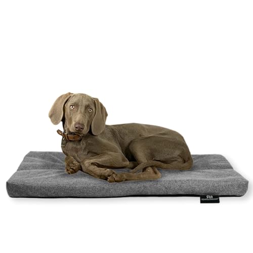 Rohrschneider Hundebett Made in EU | Hundematte mit Anti-Rutsch | strapazierfähiges Hundekissen kleine, mittelgroße & große Hunde | Katzenbett | inkl. Futternapf | Gr. 3 (grau, 120 x 75 x 7 cm) von Rohrschneider