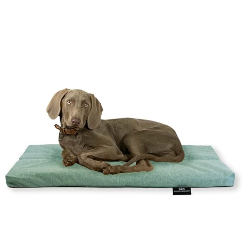 Rohrschneider Hundebett Made in EU | Hundematte mit Anti-Rutsch | strapazierfähiges Hundekissen kleine, mittelgroße & große Hunde | Katzenbett | inkl. Futternapf | Gr. 3 (türkis, 120 x 75 x 7 cm) von Rohrschneider